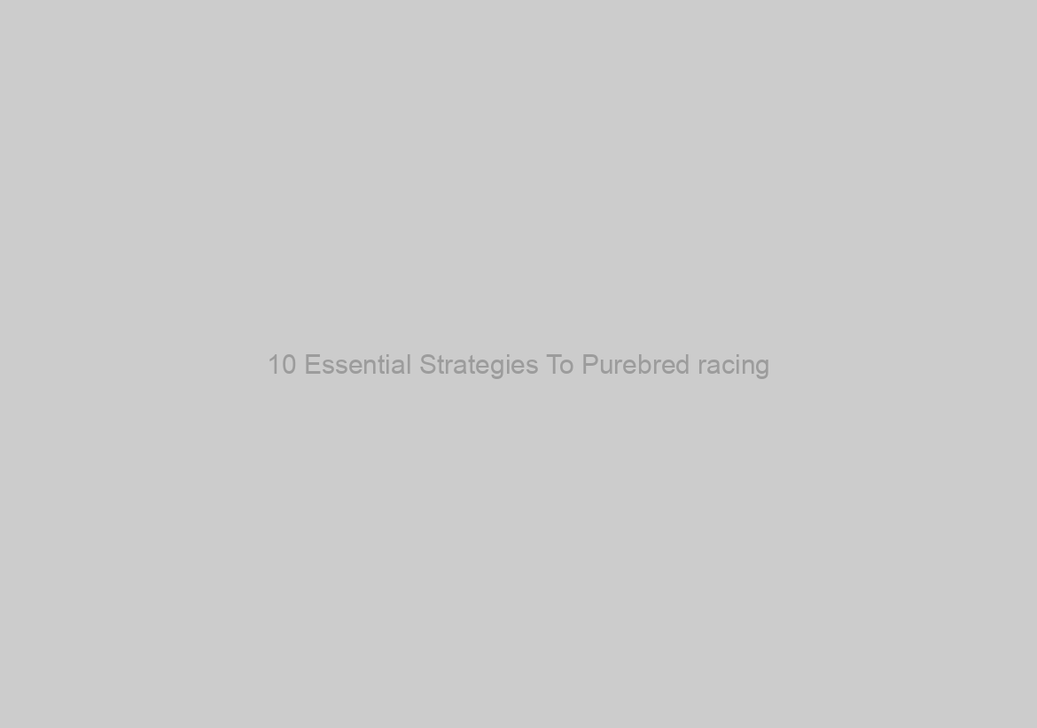 10 Essential Strategies To Purebred racing